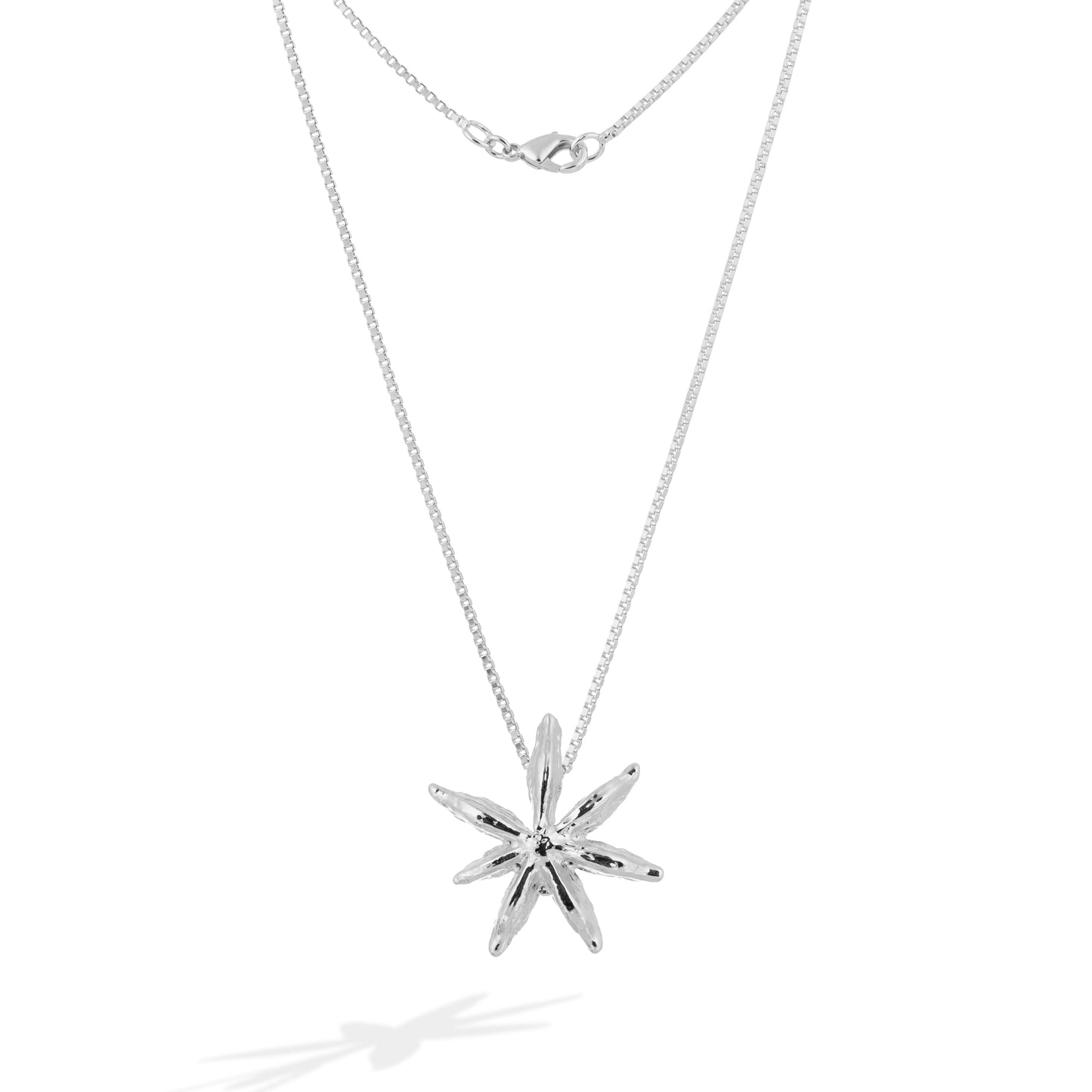 Colar Estrela Anis