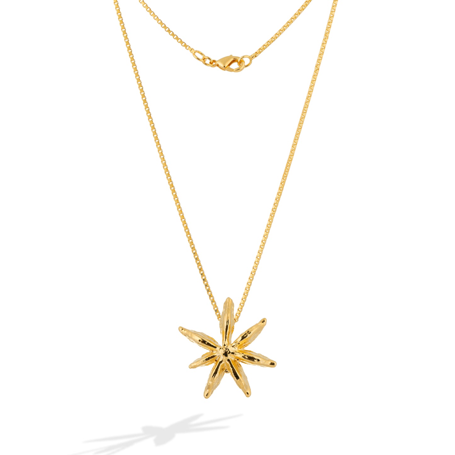 Colar Estrela Anis