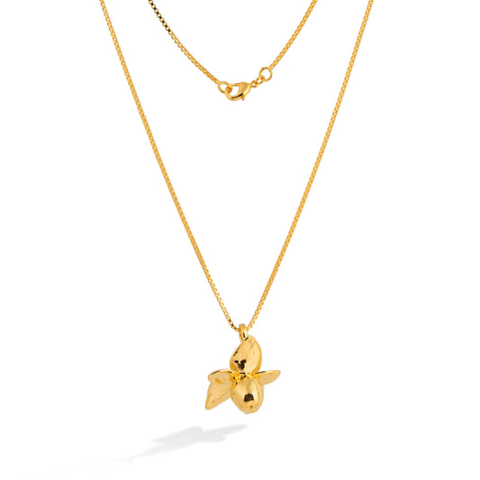 Colar Flor Hipérico