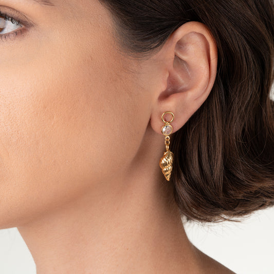 Brinco 8 com zircônia Concha Caracol