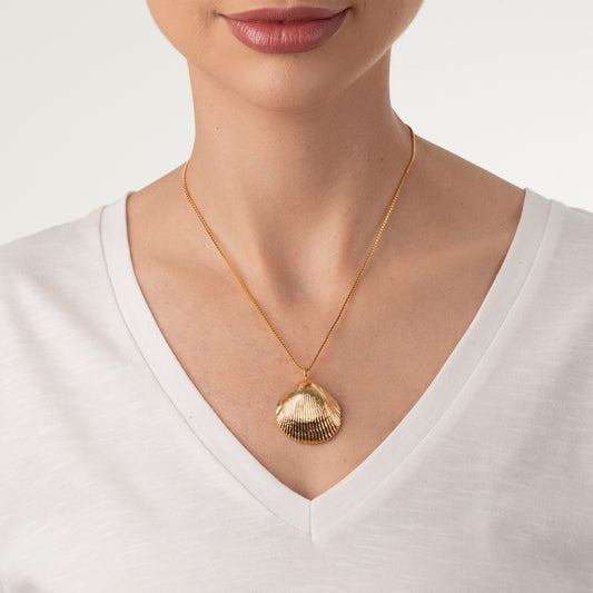 Colar Conchas Marinhas P