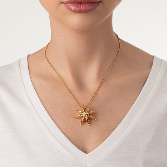 Colar Estrela Anis