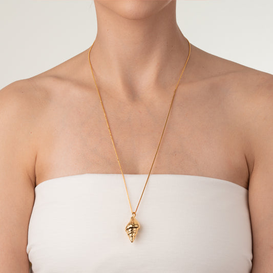 Colar Concha Marinha Caracol