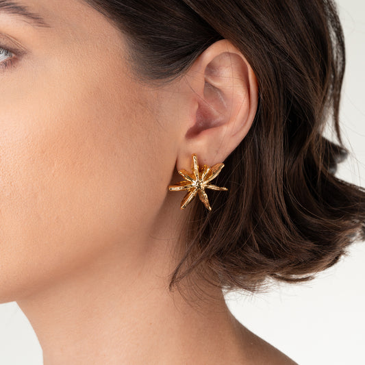 Brinco Estrela de Anis