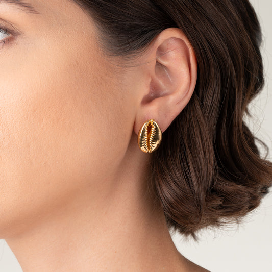 Brinco Concha Búzios- Pino