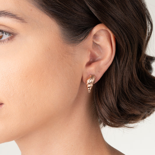 Brinco Pino Concha Marinha Caracol