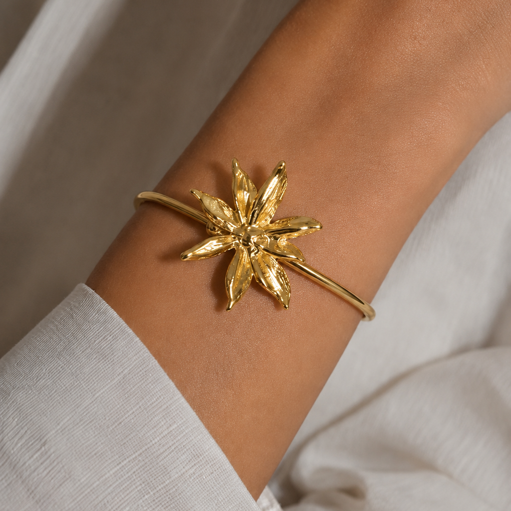 Pulseira Aro Estrela de Anis